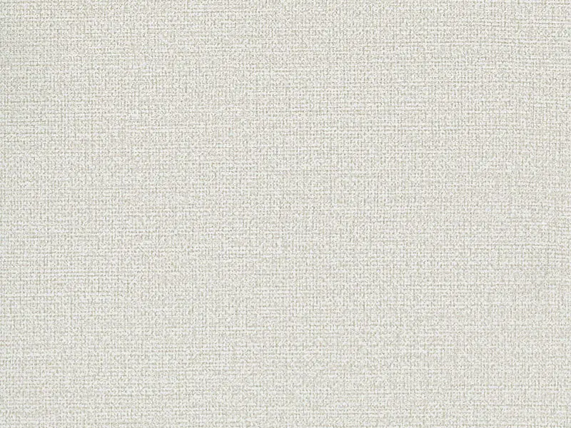 F11 250GSM Soft Light Moisture Absorption Art PVC-taustakuva